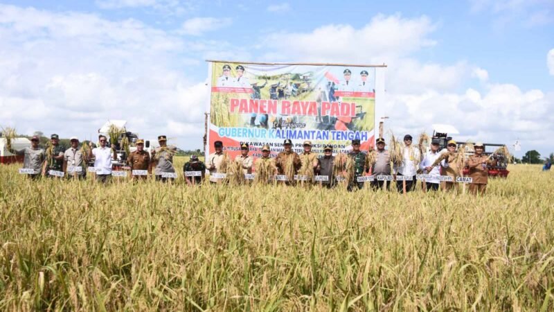 Hadiri Panen Raya Padi, Ardiansah : Pemerintah harus hadir dan memastikan petani tidak bekerja sendiri
