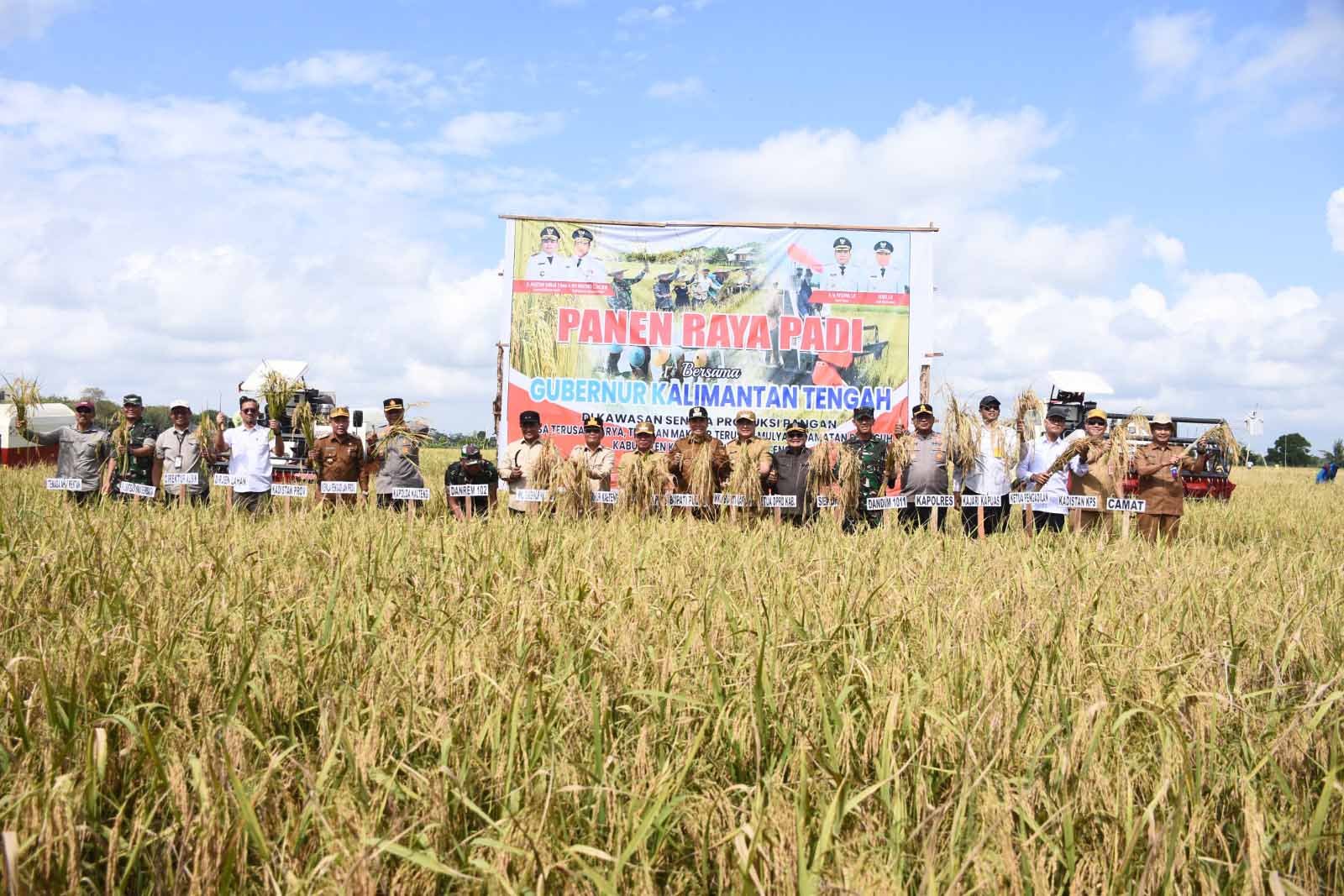 Hadiri Panen Raya Padi, Ardiansah : Pemerintah harus hadir dan memastikan petani tidak bekerja sendiri