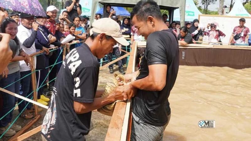 Rangkaian HUT RI dan Hari Jadi Kabupaten Mura Semarak Dengan Lomba Mangaruhi