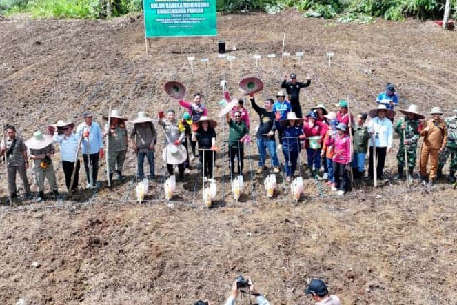 Bupati Heriyus Hadiri Tanam Jagung Hibrida di Kelurahan Saripoi