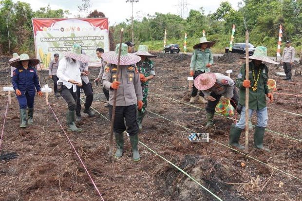 Pemkab Mura Ikuti Tanam Jagung Seretak yang Digelar di 33 Titik Lokasi di Seluruh Indonesia
