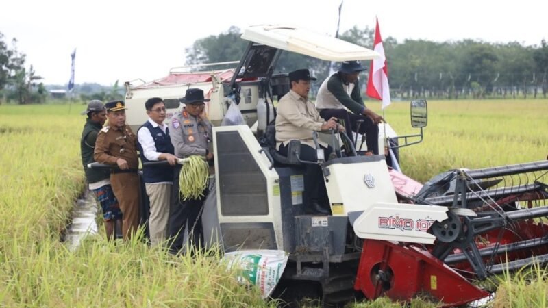 Hadiri Panen Raya Demplot Padi, Wagub Sampaikan Komitmen Pemprov pada Program Ketahanan Pangan di Kalteng