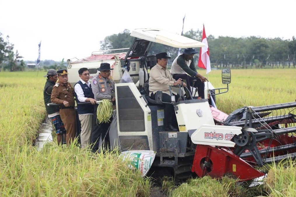 Hadiri Panen Raya Demplot Padi, Wagub Sampaikan Komitmen Pemprov pada Program Ketahanan Pangan di Kalteng