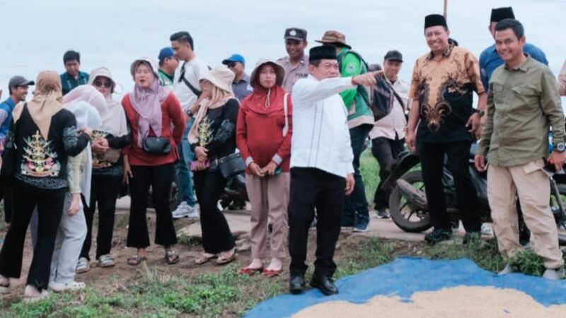 Bupati Kapuas Hadiri Panen Raya di Desa Terusan Karya