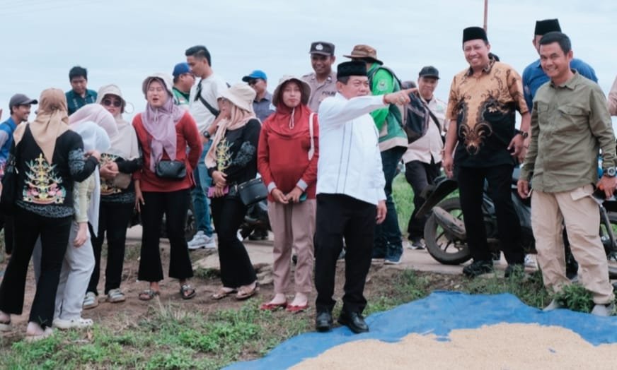 Bupati Kapuas Hadiri Panen Raya di Desa Terusan Karya