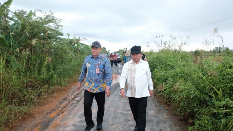 Bupati Kapuas Tinjau Kondisi Ruas Jalan di Kecamatan Kapuas Kuala