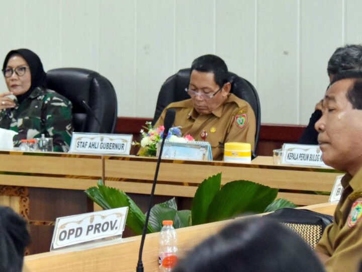 Hadiri Rakor Bersama Kemendagri, Pemprov Kalteng akan Terus Perkuat Sinergi Pengendalian Inflasi