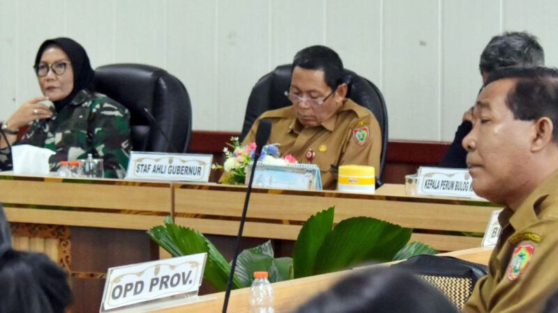 Hadiri Rakor Bersama Kemendagri, Pemprov Kalteng akan Terus Perkuat Sinergi Pengendalian Inflasi