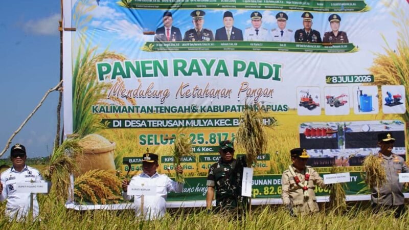 Dukung Implementasi Asta Cita Presiden, Gubernur Kalteng Panen Raya Padi di Kapuas
