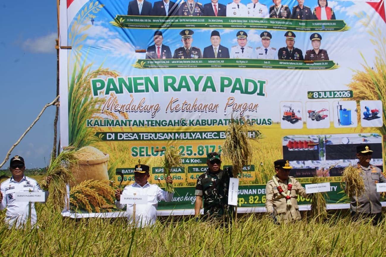 Dukung Implementasi Asta Cita Presiden, Gubernur Kalteng Panen Raya Padi di Kapuas