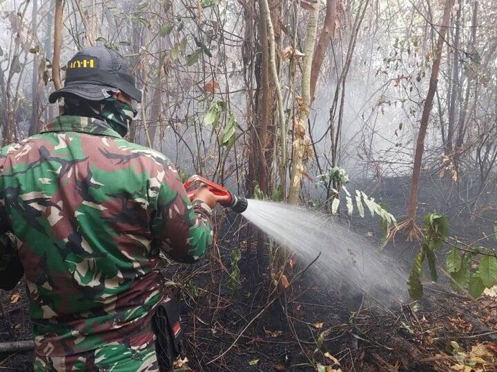 Luas Lahan Terbakar di Kapuas Tembus 2.729 Hektare, Tim Gabungan Gencarkan Pemadaman