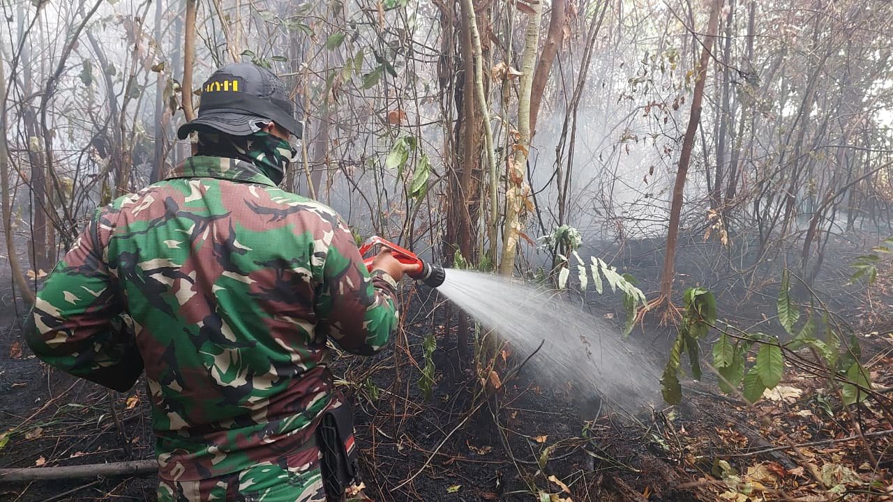 Luas Lahan Terbakar di Kapuas Tembus 2.729 Hektare, Tim Gabungan Gencarkan Pemadaman