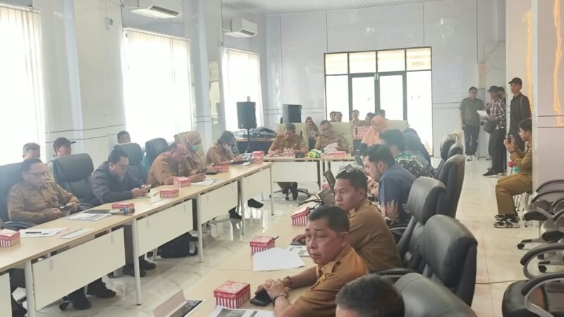 Pemkab Kapuas Gelar Konsultasi Publik I Penyusunan RDTR Wilayah Perencanaan Timpah
